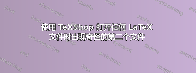 使用 TeXShop 打开任何 LaTeX 文件时出现奇怪的第二个文件