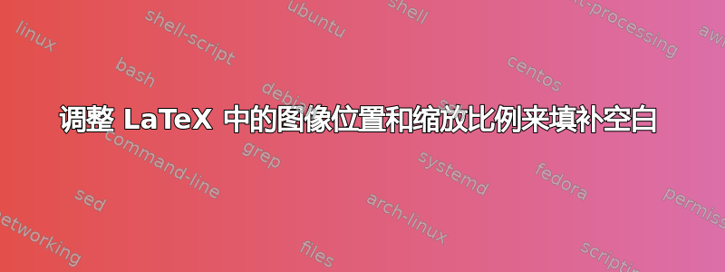 调整 LaTeX 中的图像位置和缩放比例来填补空白