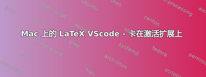 Mac 上的 LaTeX VScode - 卡在激活扩展上