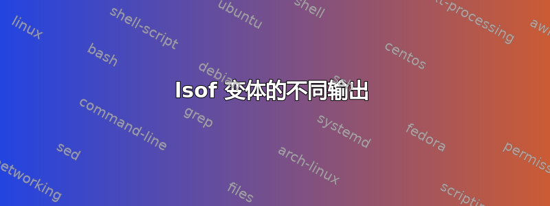 lsof 变体的不同输出