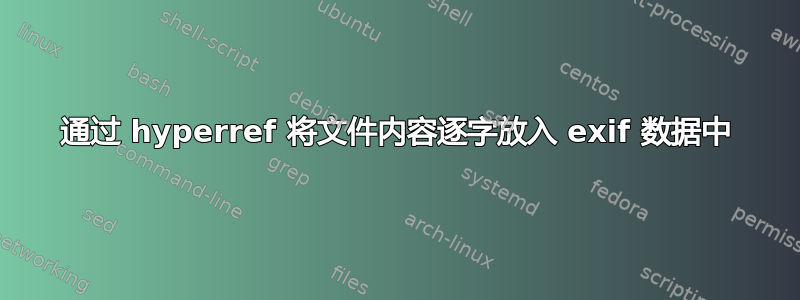 通过 hyperref 将文件内容逐字放入 exif 数据中