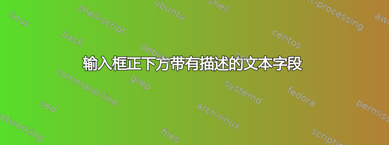 输入框正下方带有描述的文本字段