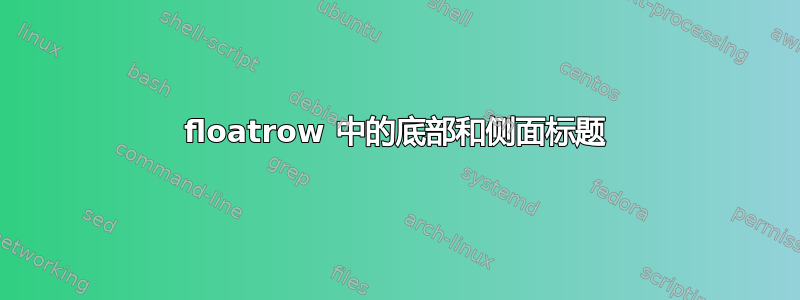 floatrow 中的底部和侧面标题