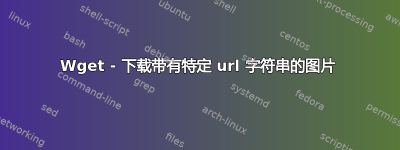 Wget - 下载带有特定 url 字符串的图片