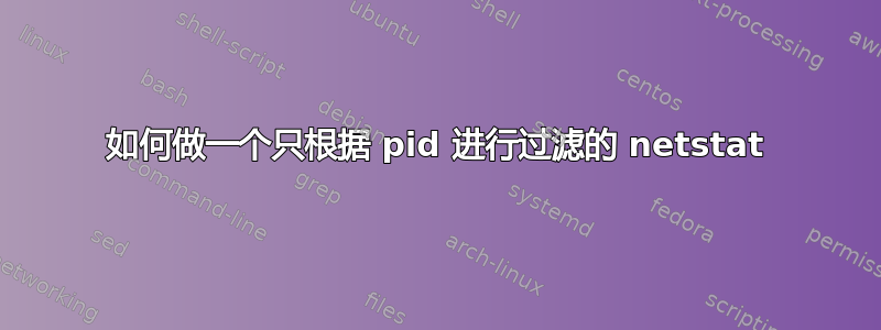 如何做一个只根据 pid 进行过滤的 netstat