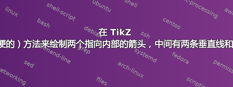 在 TikZ 中，是否有一种（方便的）方法来绘制两个指向内部的箭头，中间有两条垂直线和空白（参见草图）？