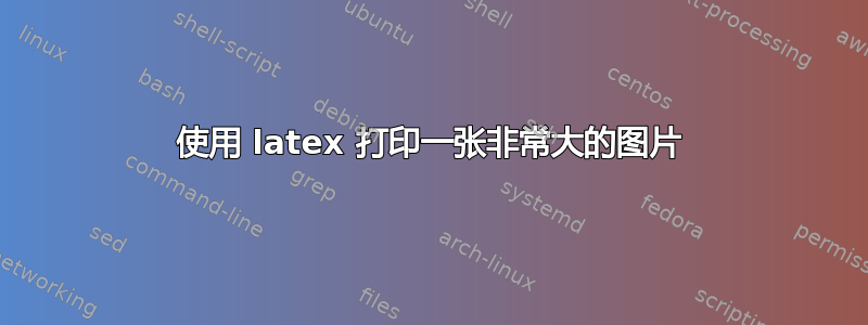 使用 latex 打印一张非常大的图片