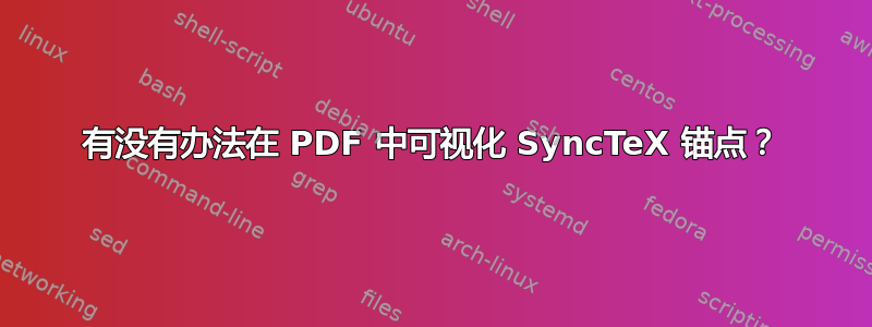 有没有办法在 PDF 中可视化 SyncTeX 锚点？