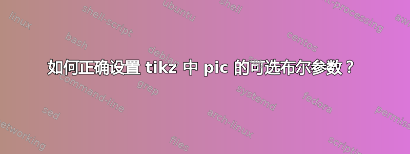 如何正确设置 tikz 中 pic 的可选布尔参数？