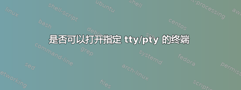 是否可以打开指定 tty/pty 的终端