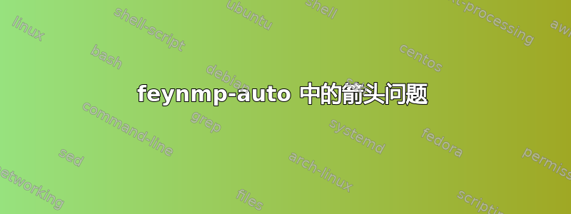 feynmp-auto 中的箭头问题