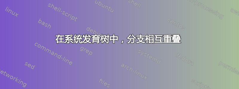 在系统发育树中，分支相互重叠