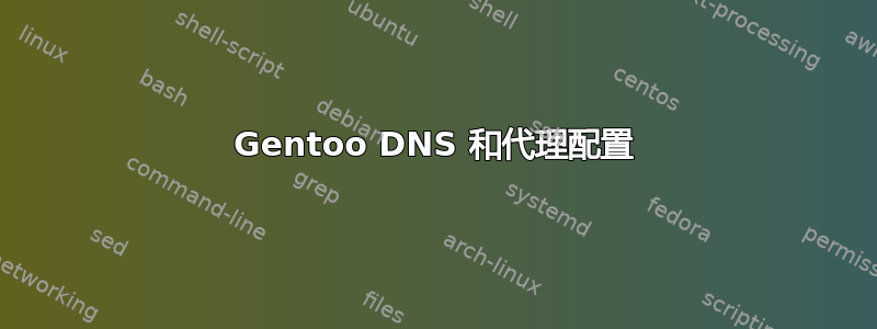 Gentoo DNS 和代理配置