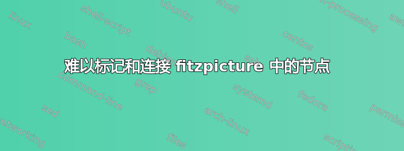 难以标记和连接 fitzpicture 中的节点 