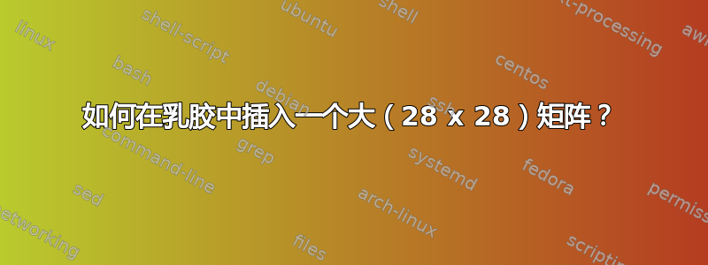 如何在乳胶中插入一个大（28 x 28）矩阵？