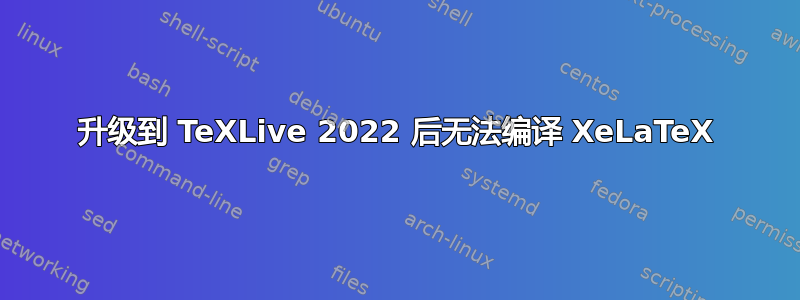 升级到 TeXLive 2022 后无法编译 XeLaTeX