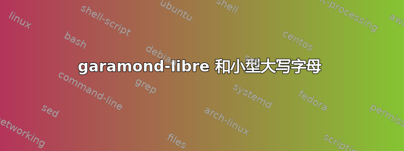 garamond-libre 和小型大写字母