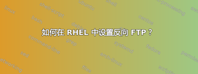 如何在 RHEL 中设置反向 FTP？