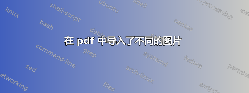 在 pdf 中导入了不同的图片