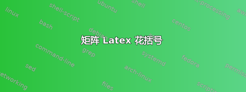 矩阵 Latex 花括号