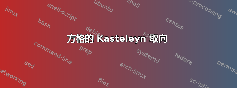 方格的 Kasteleyn 取向