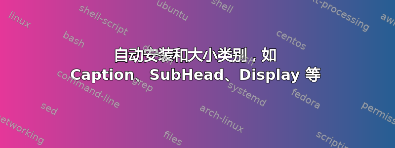 自动安装和大小类别，如 Caption、SubHead、Display 等