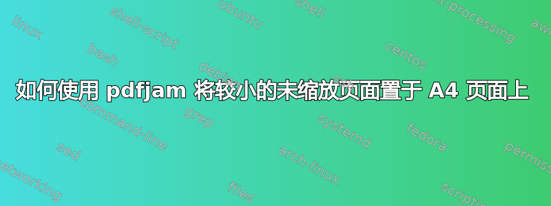 如何使用 pdfjam 将较小的未缩放页面置于 A4 页面上