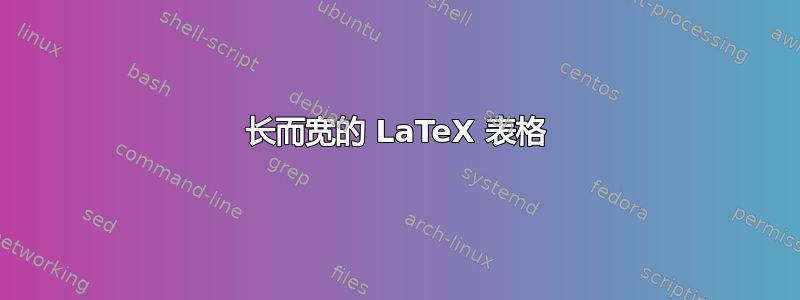 长而宽的 LaTeX 表格