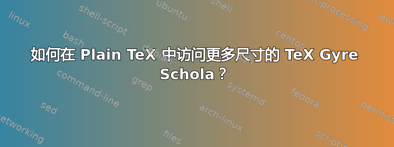 如何在 Plain TeX 中访问更多尺寸的 TeX Gyre Schola？