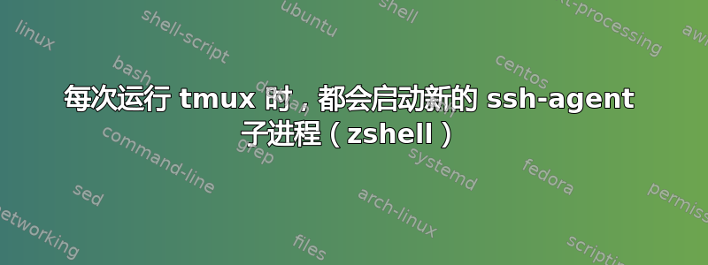 每次运行 tmux 时，都会启动新的 ssh-agent 子进程（zshell）