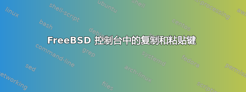 FreeBSD 控制台中的复制和粘贴键