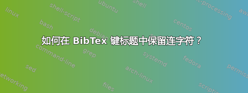 如何在 BibTex 键标题中保留连字符？