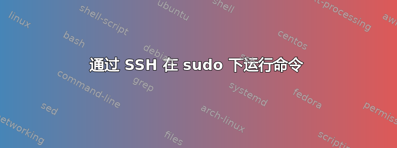 通过 SSH 在 sudo 下运行命令