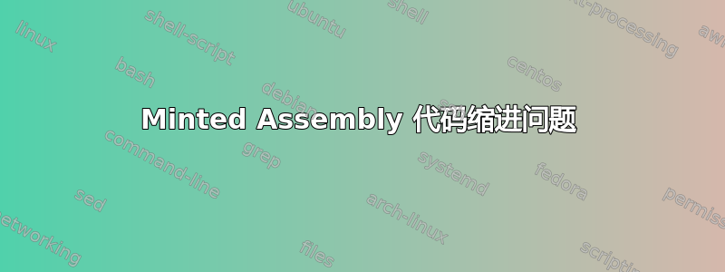 Minted Assembly 代码缩进问题