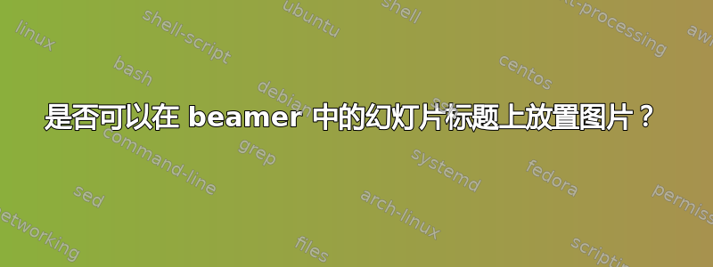 是否可以在 beamer 中的幻灯片标题上放置图片？