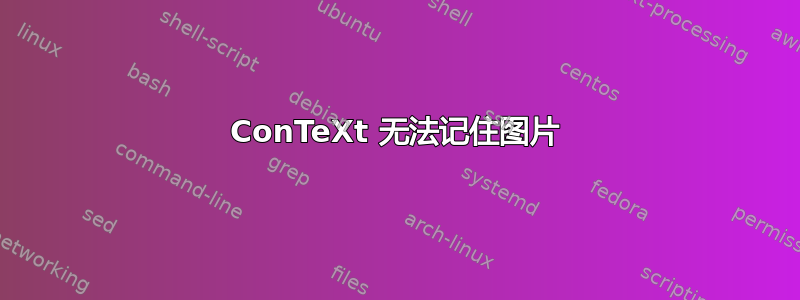 ConTeXt 无法记住图片