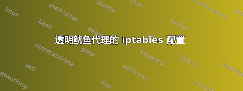 透明鱿鱼代理的 iptables 配置