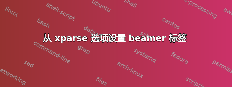 从 xparse 选项设置 beamer 标签