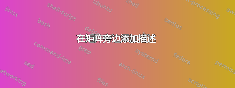 在矩阵旁边添加描述