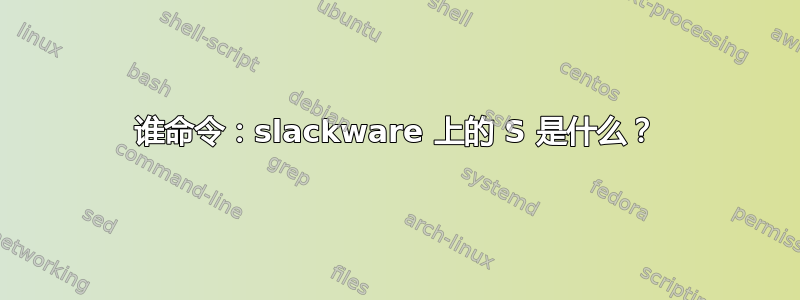 谁命令：slackware 上的 S 是什么？