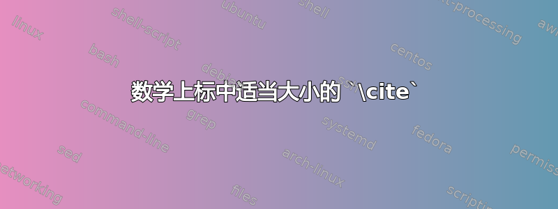 数学上标中适当大小的 `\cite`