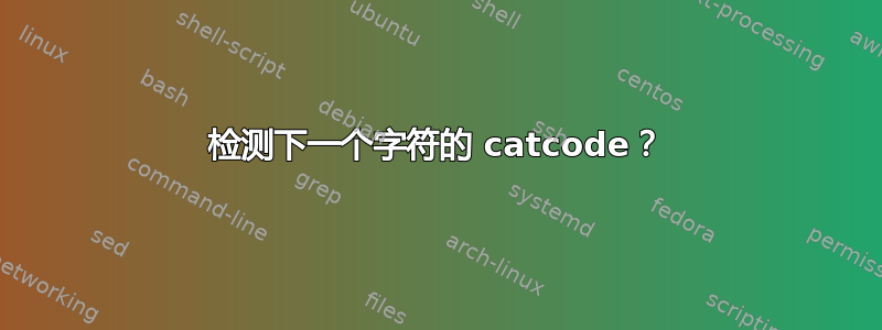 检测下一个字符的 catcode？