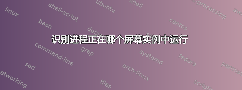 识别进程正在哪个屏幕实例中运行