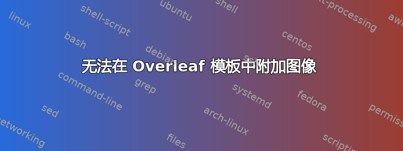 无法在 Overleaf 模板中附加图像