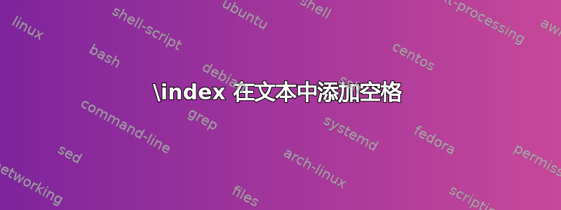 \index 在文本中添加空格