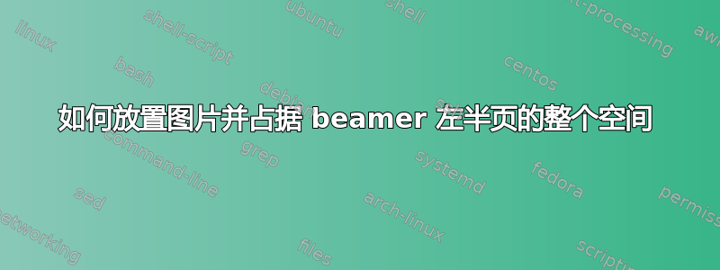 如何放置图片并占据 beamer 左半页的整个空间