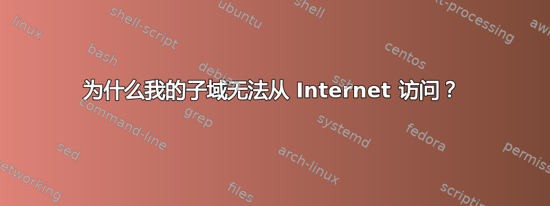 为什么我的子域无法从 Internet 访问？