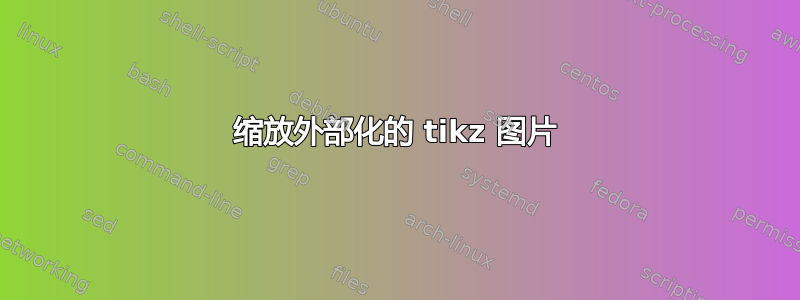 缩放外部化的 tikz 图片