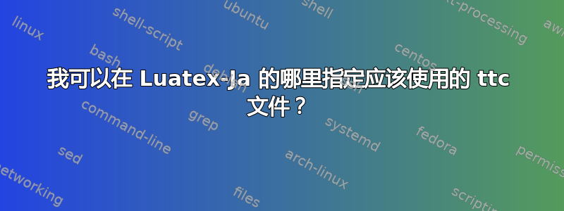 我可以在 Luatex-Ja 的哪里指定应该使用的 ttc 文件？