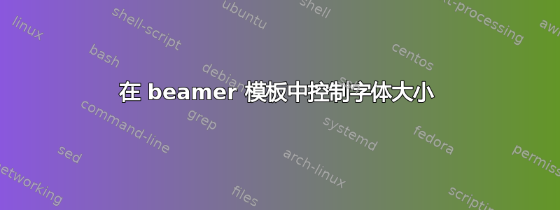 在 beamer 模板中控制字体大小